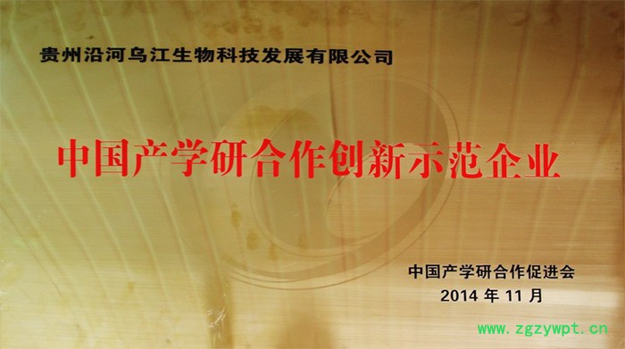 枫斗铁皮石斛枫斗图7