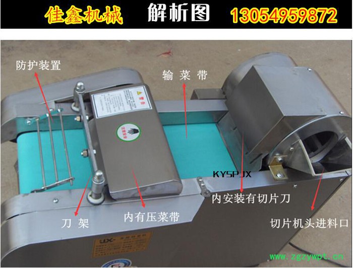 商用灵芝切片机 高效年糕 海带切片切丝机 薄厚均匀 操作简单**图5