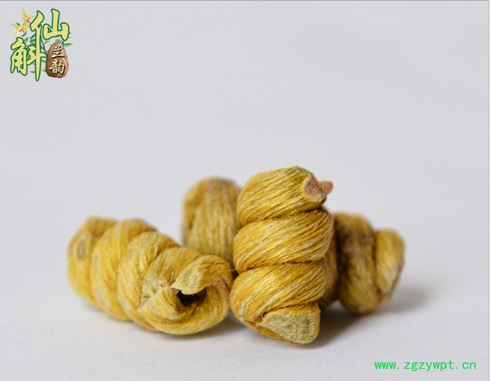 仙斛兰韵石斛大棚投资图8