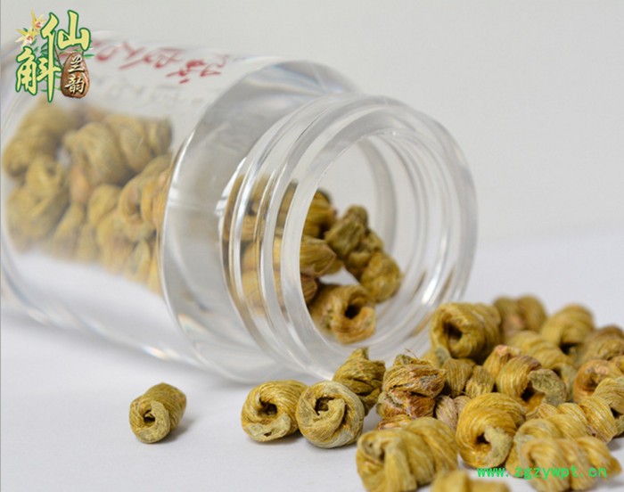 仙斛兰韵石斛大棚投资图3