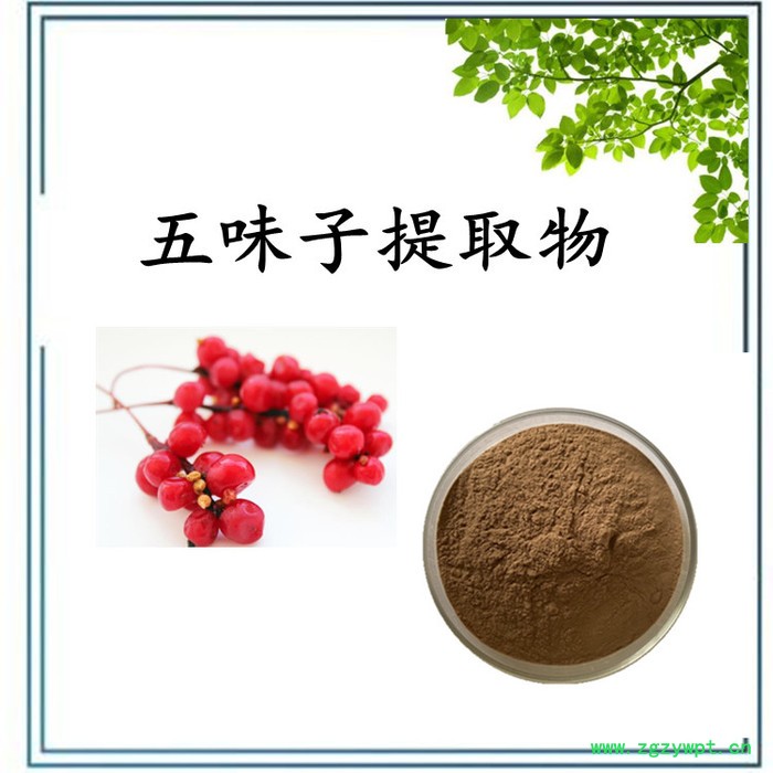 五味子提取物 五味子浓缩粉   水溶 可定制图3