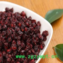 供应地宝中药材统、选吉林五味子厂家批发五味子价格**