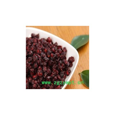 供应地宝中药材统、选吉林五味子厂家批发五味子价格**