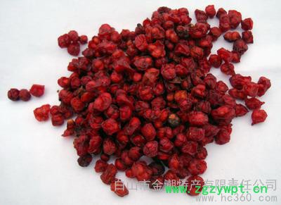 供应山健长白山五味子