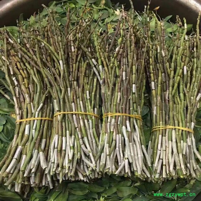 斛仙谷 铁皮石斛 铁皮石斛鲜条 贵州