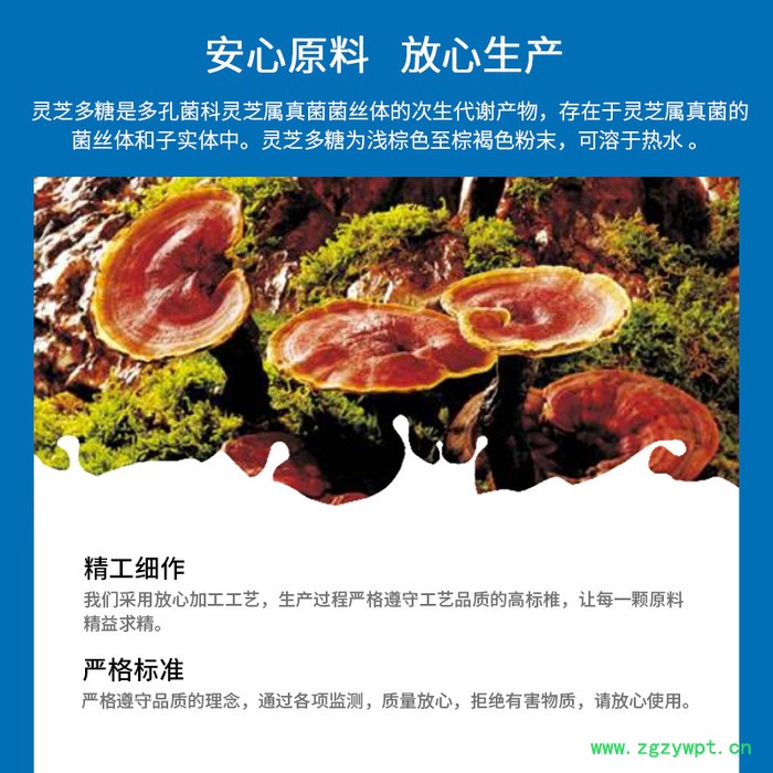 灵芝多糖 30% 全水溶 灵芝提取物 灵芝菌丝体多糖图4
