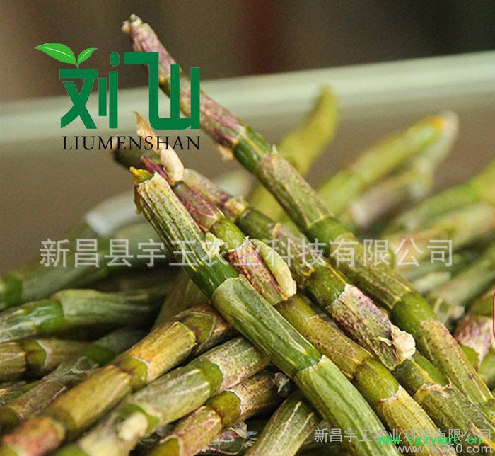 【高品质 **】正宗铁皮石斛鲜条 铁皮石斛枫斗 现货价格优图2