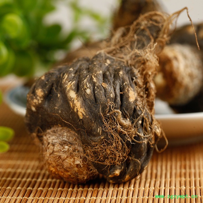 云南丽江新鲜玛咖鲜果 黑玛卡鲜果 秘鲁 补肾 现货销售 包邮图3