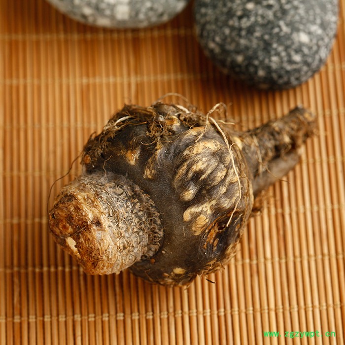 云南丽江新鲜玛咖鲜果 黑玛卡鲜果 秘鲁 补肾 现货销售 包邮图2