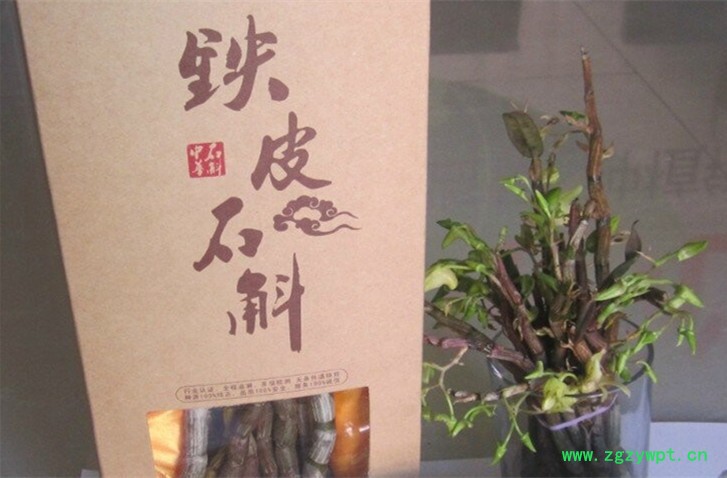 供应铁皮石斛鲜条