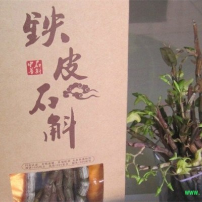 供应铁皮石斛鲜条
