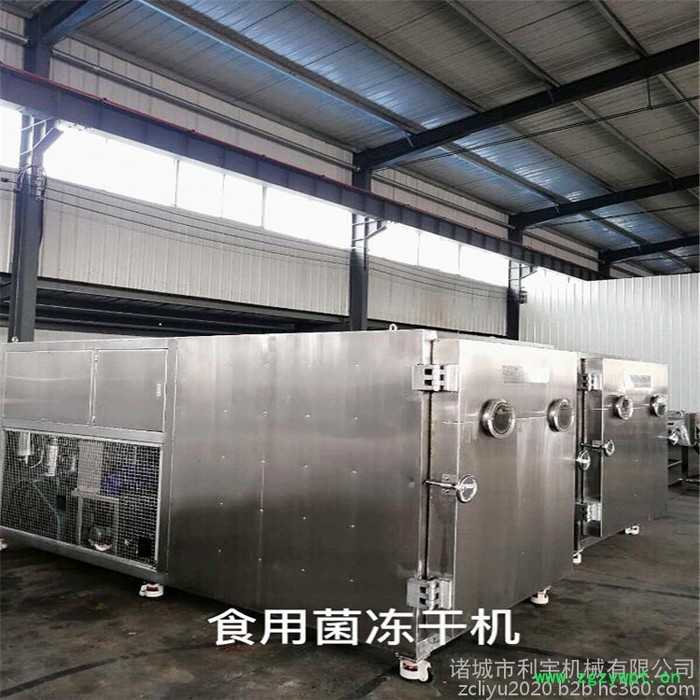 灵芝真空冻干机 葛根低温冻干设备 菊花低温真空干燥机图3