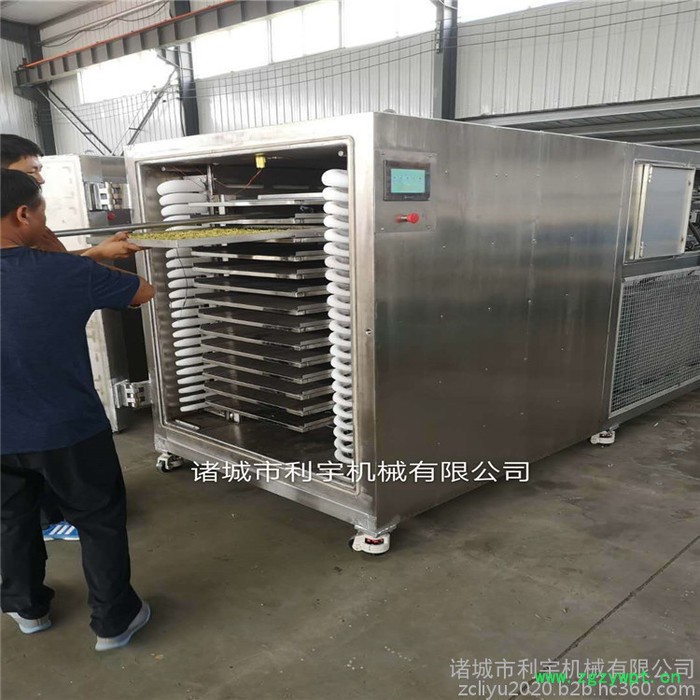灵芝真空冻干机 葛根低温冻干设备 菊花低温真空干燥机图8
