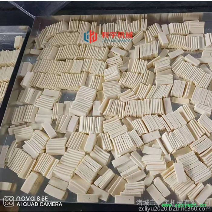 灵芝真空冻干机 葛根低温冻干设备 菊花低温真空干燥机图5