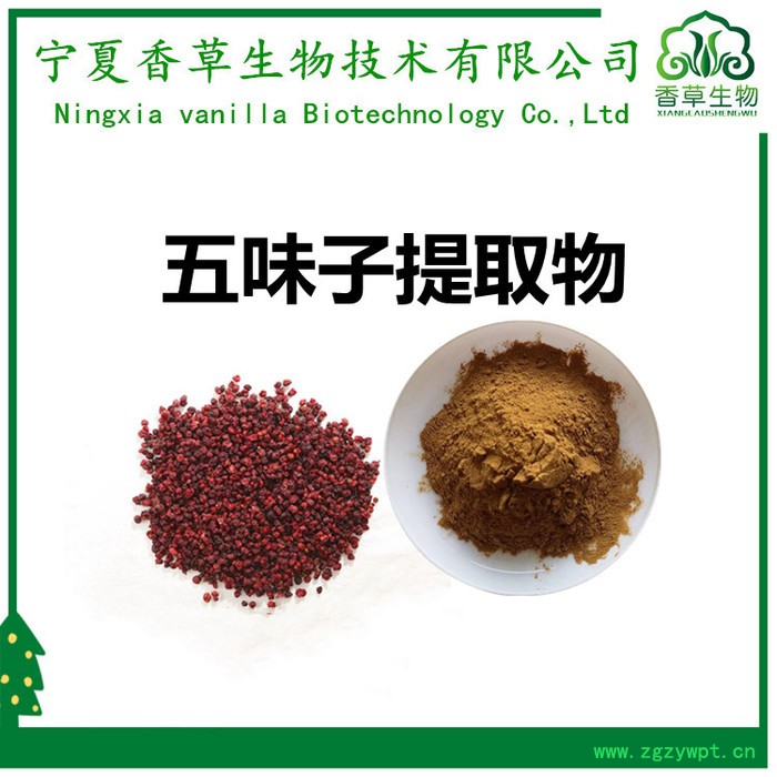 五味子粉97%  五味子速溶粉 五味子提取物图3