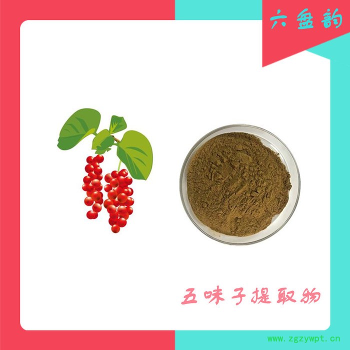 五味子粉 10:1五味子速溶粉 全水溶 五味子浓缩粉 质量稳定  五味子粉图2