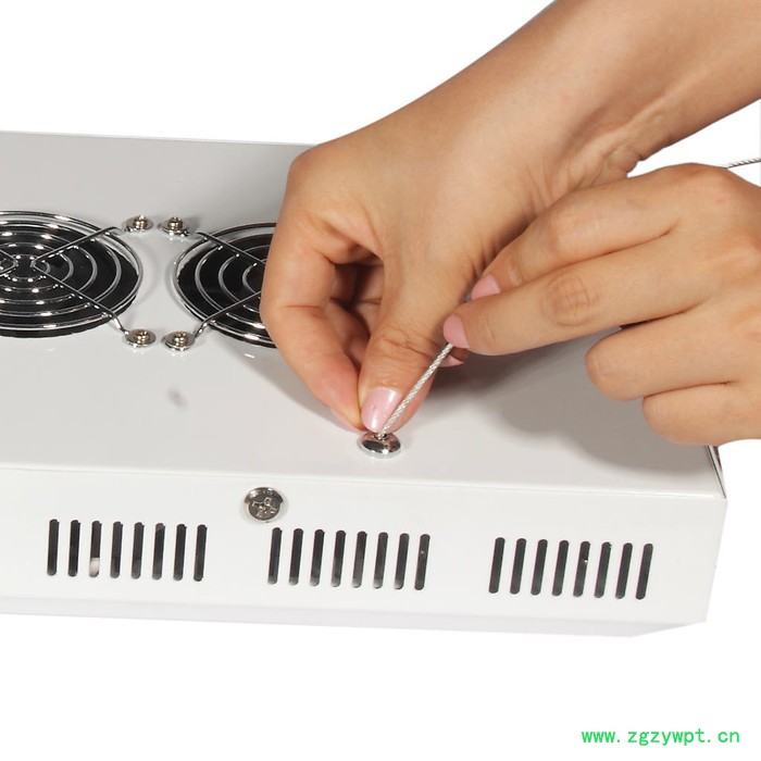 供应伟信力 铁皮石斛专用LED植物灯图3