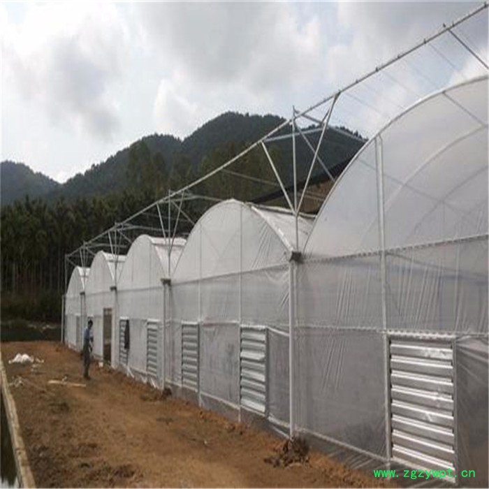 河北连栋薄膜温室报价 铁皮石斛温室大棚 旭航图4