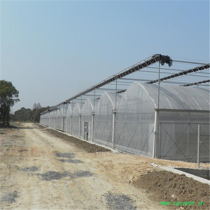 河北连栋薄膜温室报价 铁皮石斛温室大棚 旭航图2