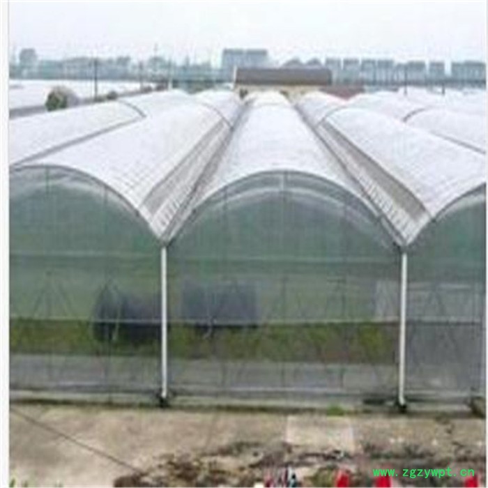 河北连栋薄膜温室报价 铁皮石斛温室大棚 旭航图5