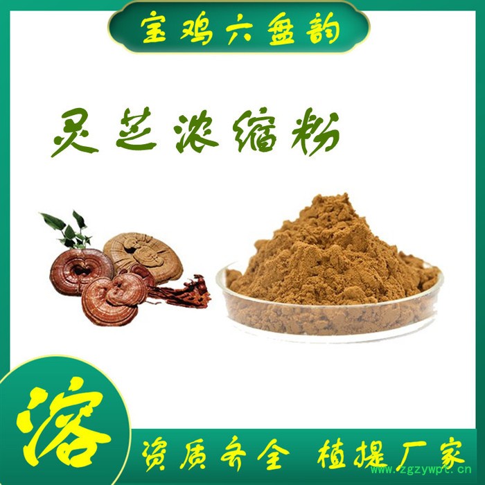 灵芝粉 水溶 可定制 灵芝提取物 灵芝浓缩粉 灵芝提取物价格图3