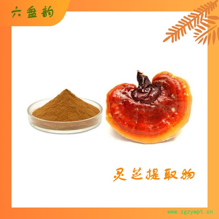 灵芝浓缩粉 灵芝提取物 10:1 灵芝粉 水溶性好图3