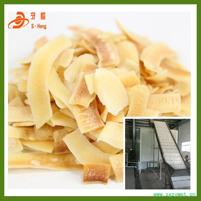 奥芝美灵芝烘干机   高温排湿一体高效脱水设备 中低温灵芝药材烘干设备图8