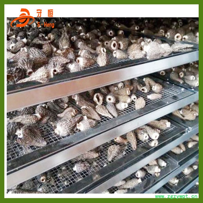 奥芝美灵芝烘干机   高温排湿一体高效脱水设备 中低温灵芝药材烘干设备图7