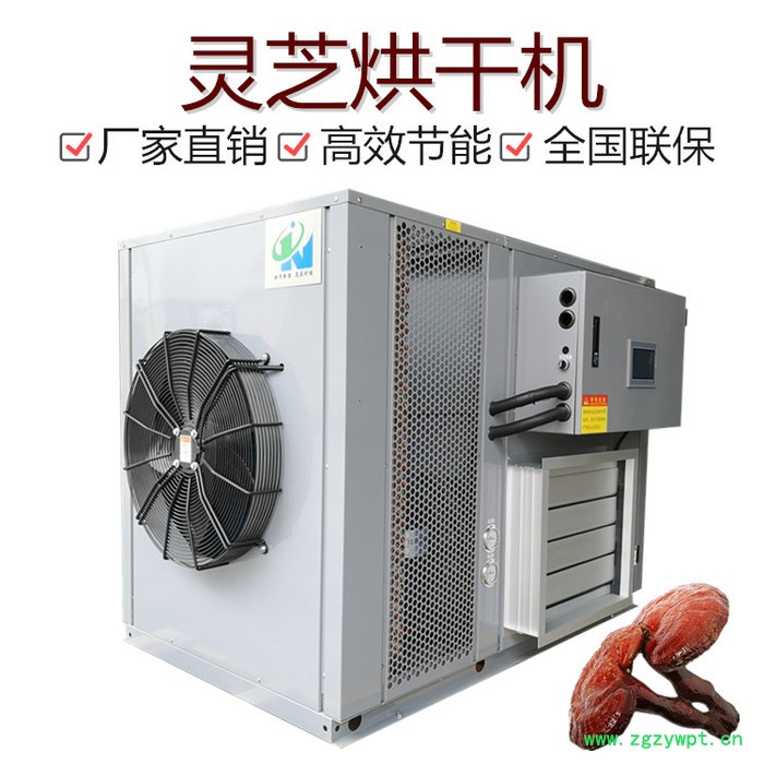 科能KN-145RD 灵芝烘干机图4