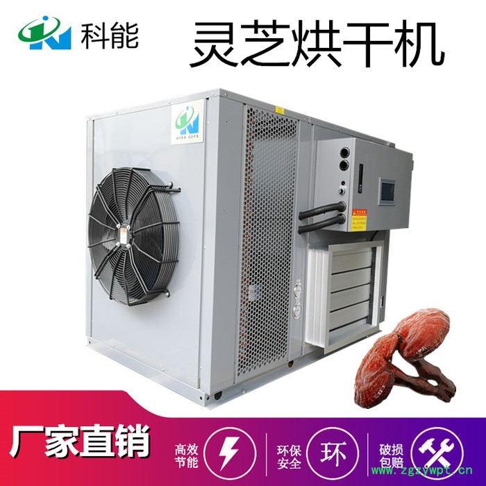 科能KN-145RD 灵芝烘干机图2