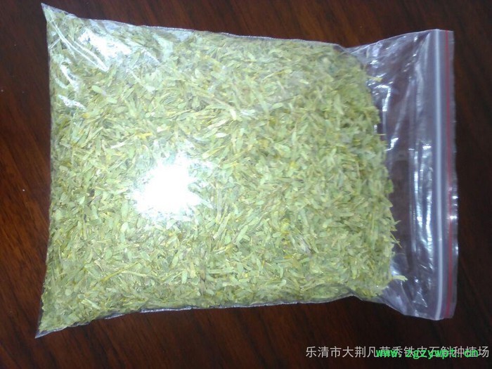 铁皮石斛切片图2