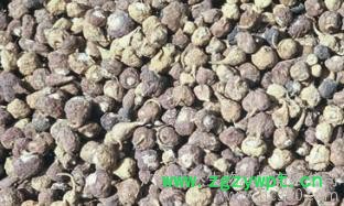 生物化工 供应进口法国Naturex macaderm玛卡提取物 拉丁美人的神秘护肤**图3