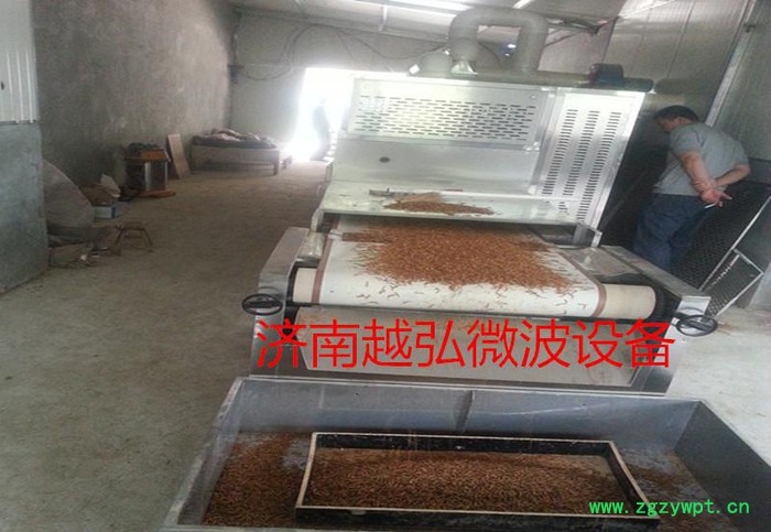 茯苓微波干燥机图2