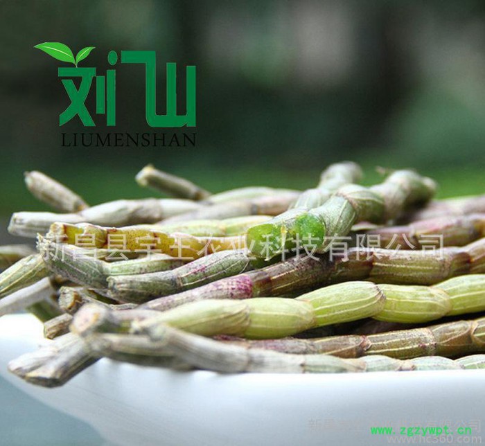 刘门山铁皮石斛鲜条（一级）图2