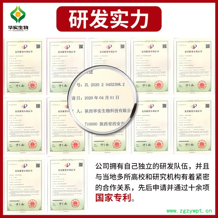 灵芝提取物30:1 植物提取物 药食同源 源头厂家 支持定制 现货供应图3