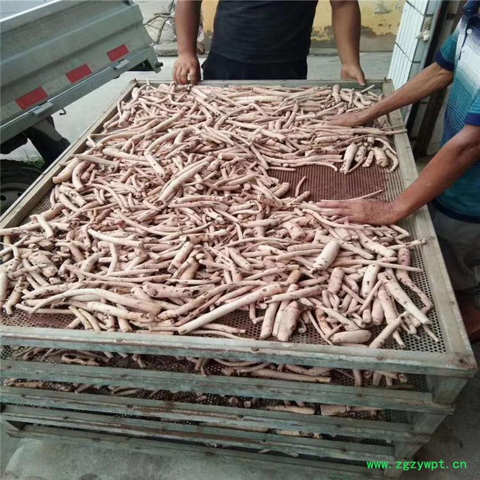 灵芝烘干机 烘房厂家 西安圣达SD-RB-8P 空气能烘干设备图2