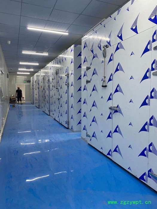 五味子烘干机_中药材五味子烘干机_小型药材烘干机 枸杞烘干机图6