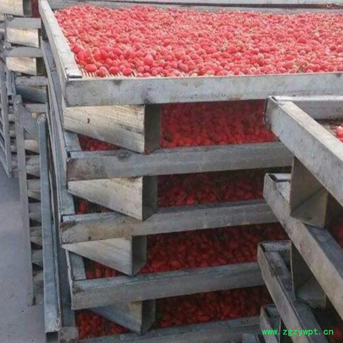 五味子烘干机_中药材五味子烘干机_小型药材烘干机 枸杞烘干机图4