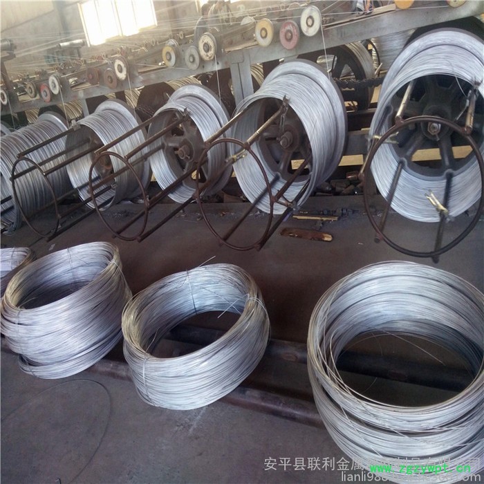 联利五味子种植钢丝 药材搭架拉线 热镀锌钢条厂家图6