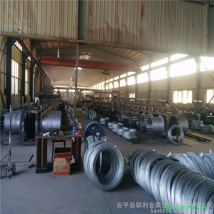 联利五味子种植钢丝 药材搭架拉线 热镀锌钢条厂家图2