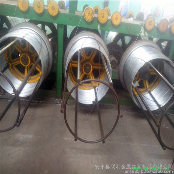 联利五味子种植钢丝 药材搭架拉线 热镀锌钢条厂家图5