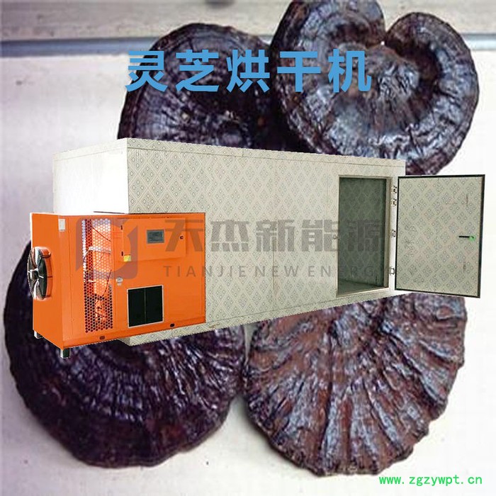 天杰 灵芝烘干机 小型家用灵芝烘干机  灵芝烘干机厂家图7