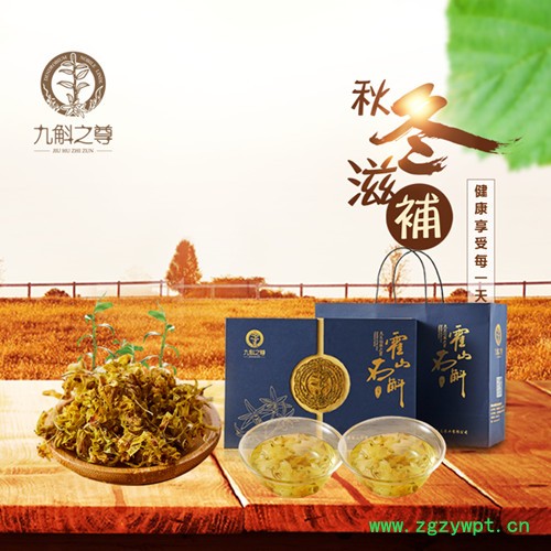 九斛之尊霍山石斛花图2