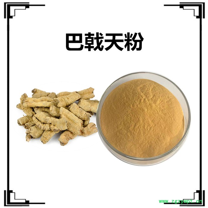 斯诺特 茯苓破壁粉   全水溶  茯苓粉图5