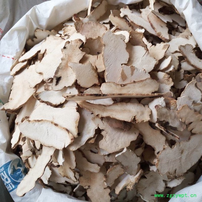 大型土茯苓烘干机图4