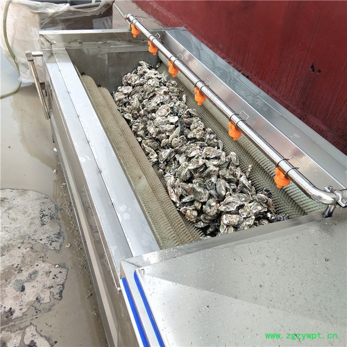 义康MQX-1500型 荸荠毛棍清洗机 全自动桔梗清洗设备 茯苓清洗设备图7