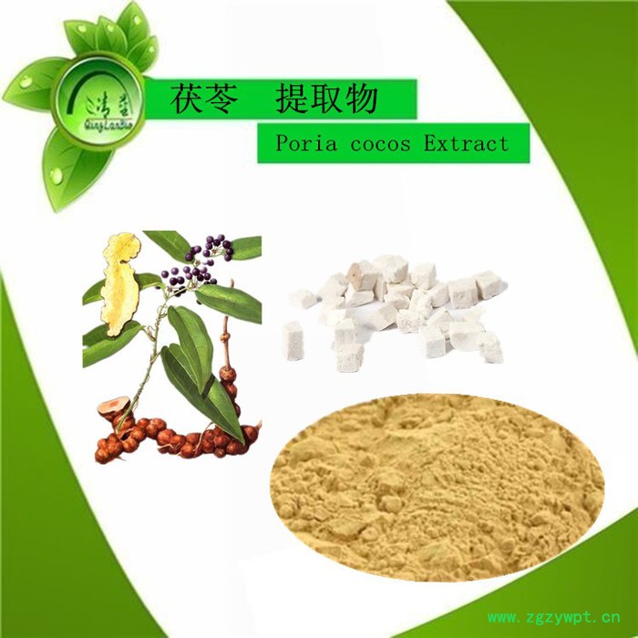 陕西清蓝生物 茯苓提取物图3