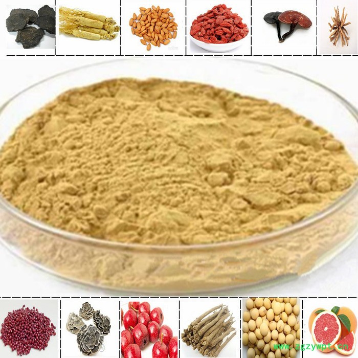 陕西清蓝生物 茯苓提取物图2