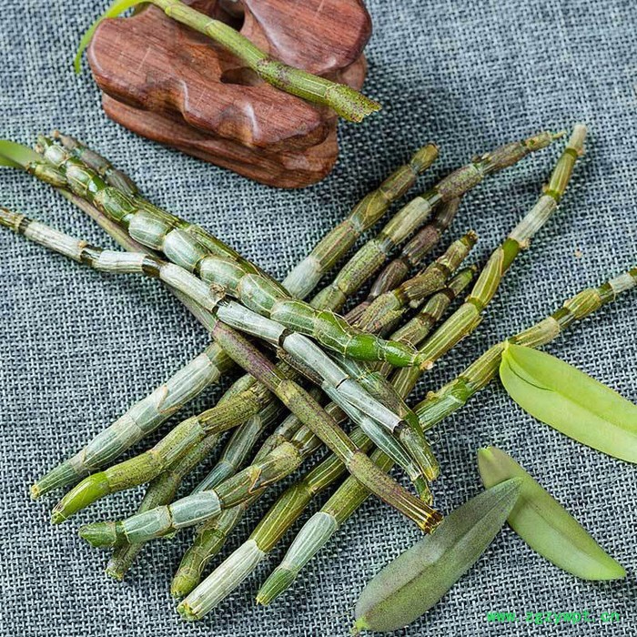 别山本草【斛香村】 安徽霍山石斛霍山铁皮石斛鲜条、现采新鲜石斛批发 铁皮石斛厂家图4