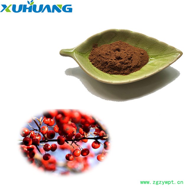 旭煌生物 五味子提取物 现货库存 大量批发图5